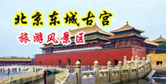 欧美大鸡吧勃起抽插玩具视频中国北京-东城古宫旅游风景区